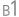 B1