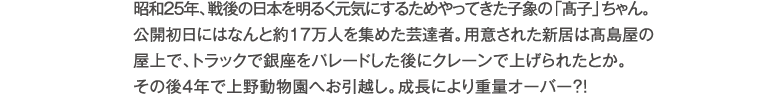 昭和25年、戦後の日本を明るく元気にするためやってきた子象の「燻q」ちゃん。公開初日にはなんと約17万人を集めた芸達者。用意された新居は燗屋の屋上で、トラックで銀座をパレードした後にクレーンで上げられたとか。その後4年で上野動物園へお引越し。成長により重量オーバー？！