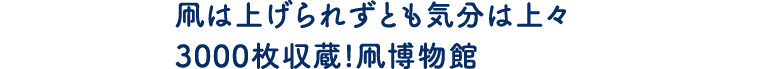 凧は上げられずとも気分は上々3000枚収蔵!凧博物館